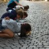 phoca_thumb_m_IMG_20180826_170453-Media
